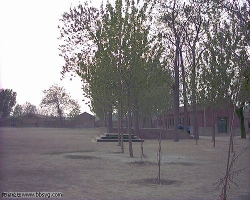 寿张街景。具体拍摄日期未记载。